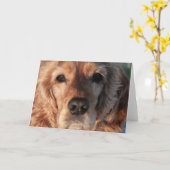 かわいいスパニエル犬の挨拶状 カード (黄色い花)