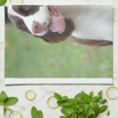 かわいいスプリンガースパニエル キッチンタオル (折り畳み)