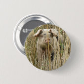 かわいいスポッティピグボタン 缶バッジ (正面&裏面)