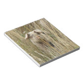 かわいいスポッティピグメモ帳 ノートパッド (アングル)