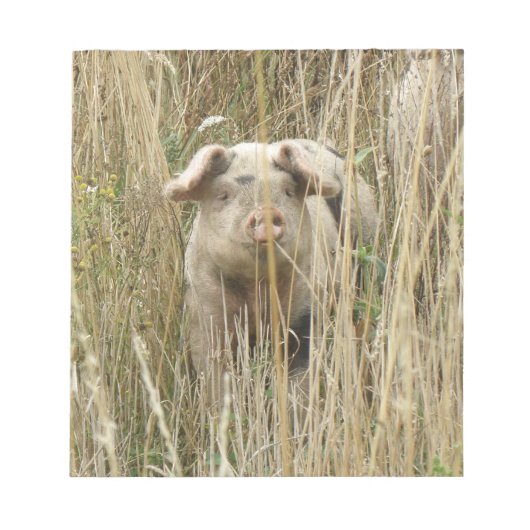 かわいいスポッティピグメモ帳 ノートパッド (正面)