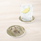 かわいいスポット豚コースター コースター (側面)