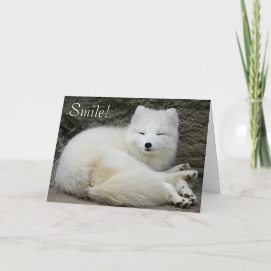 かわいいスマイルの白い北極狐 自然 誕生日 カード (正面)