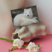 かわいいスマイルの白い北極狐 自然 誕生日 カード