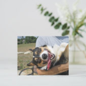 かわいいスマイルコーギー犬 ポストカード (スタンド正面)