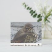 かわいいスリッシュクローズアップDIYポストカード ポストカード (スタンド正面)