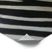 かわいいゼブラポスター ポスター (角)