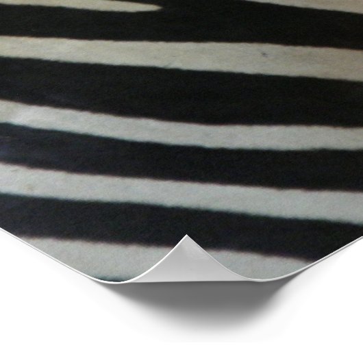 かわいいゼブラポスター ポスター (角)