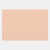 かわいいソフトカラーパステルミニマルラッピング紙 ラッピングペーパーシート (正面2)