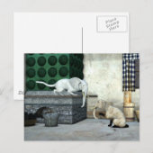 かわいいゾウ猫 ポストカード (正面/裏面)