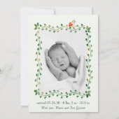 かわいいゾウ緑の男の赤ちゃん写真誕生 案内状 (裏面)