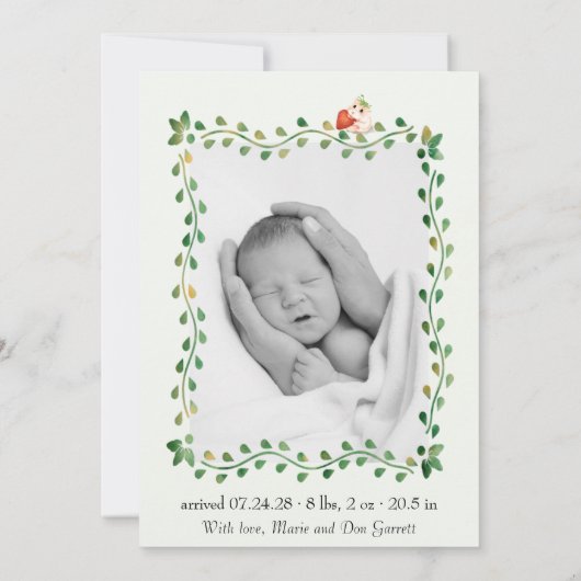 かわいいゾウ緑の男の赤ちゃん写真誕生 案内状 (裏面)