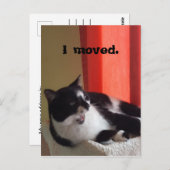 かわいいタキシード猫のおしゃべりフォトポストカード ポストカード (正面/裏面)