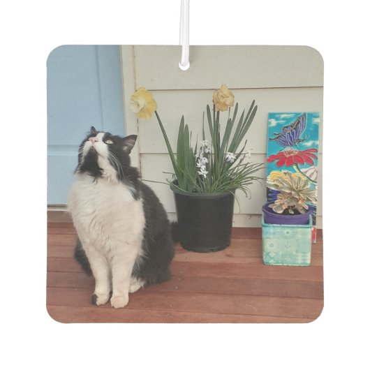 かわいいタキシード猫白黒猫フローラ水仙 カーエアーフレッシュナー (正面)