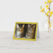 かわいいタビーキャッツハッピーバースデー カード (黄色い花)