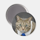 かわいいタビーキャットブラウングレーブルータイペット マグネット (正面/裏面)