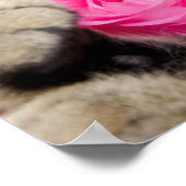 かわいいタビー猫とバラ ポスター (角)