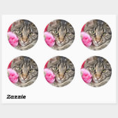 かわいいタビー猫とバラ ラウンドシール (シート)