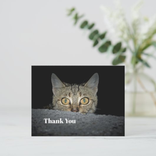 かわいいタビー猫のぞき写真ありがとう ポストカード (スタンド正面)