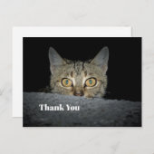 かわいいタビー猫のぞき写真ありがとう ポストカード (正面/裏面)