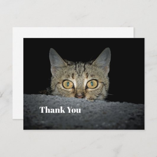 かわいいタビー猫のぞき見写真ありがとう ポストカード (正面/裏面)