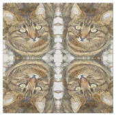 かわいいタビー猫の上を見上げる鉛筆スケッチ ファブリック (見本)