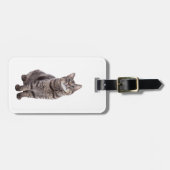 かわいいタビー猫 ラゲッジタグ (正面横)