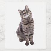 かわいいタビー猫 ワインラベル (シングルラベル)