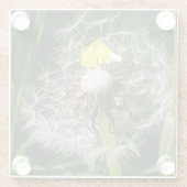 かわいいタンポポ ガラスコースター (裏面)