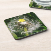 かわいいタンポポ コースター (左側)
