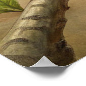 かわいいターコイズ鳥 ポスター (角)