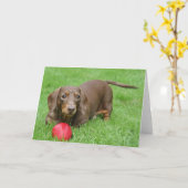 かわいいダックスフントのブランクの挨拶状 カード (黄色い花)