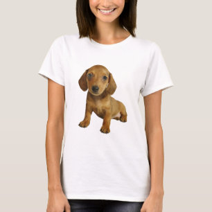 かわいいダックスフントの子犬(クリーム色のブラウン)のモデル Tシャツ