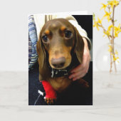 かわいいダックスフントは健康なカードをすぐに得ます カード (黄色い花)