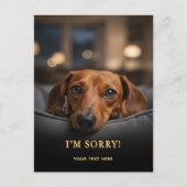 かわいいダックスフント ごめんね はがき (正面)
