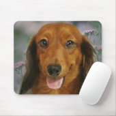 かわいいダックスフント(長い髪ブラウン)の野生花 マウスパッド (マウス)