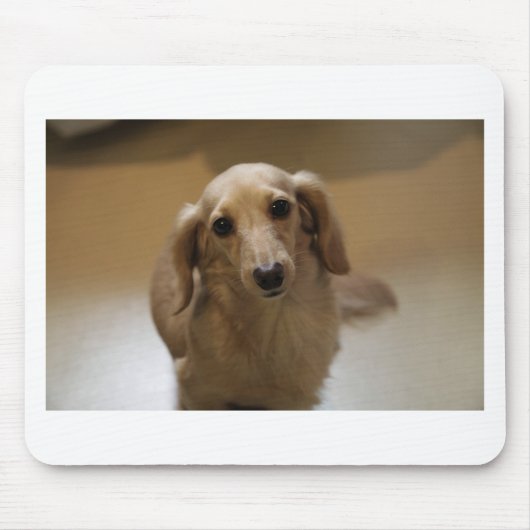 かわいいダッチスンド犬 マウスパッド (正面)