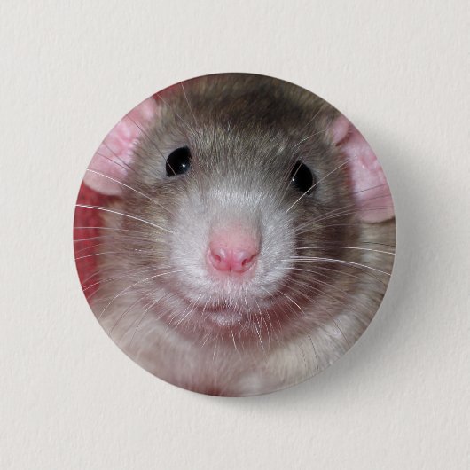 かわいいダンボネズミ 缶バッジ (正面)