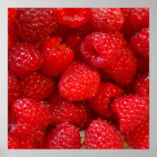 かわいいダークピンクのラズベリーの写真 ポスター (正面)