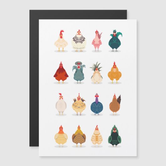 かわいいチキン (正面/裏面)