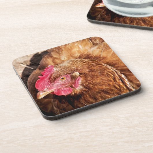 かわいいチキン コースター (左側)