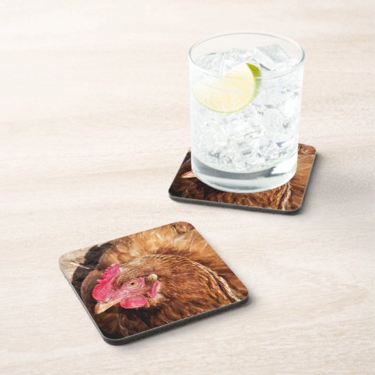 かわいいチキン コースター (右側)