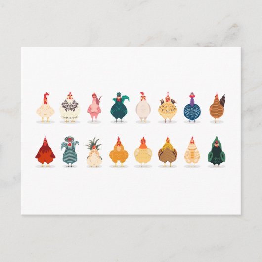 かわいいチキン シーズンポストカード (正面)