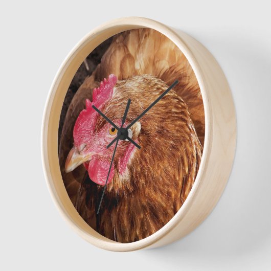 かわいいチキン 壁時計 (傾斜)