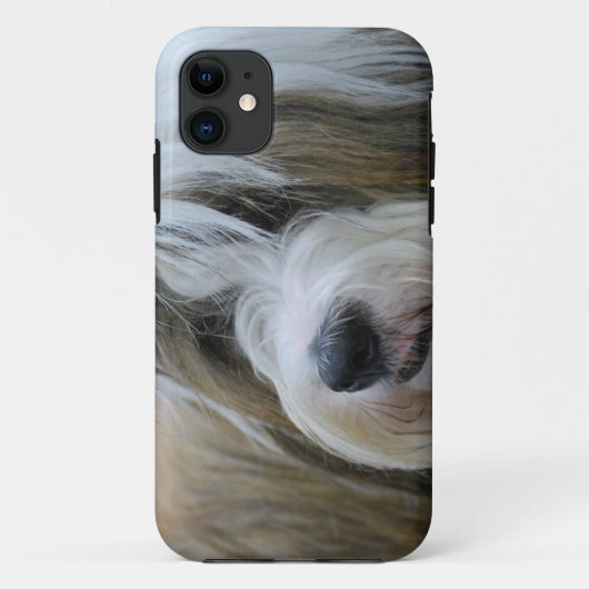 かわいいチベタンテリア犬 Case-Mate iPhoneケース (裏面)