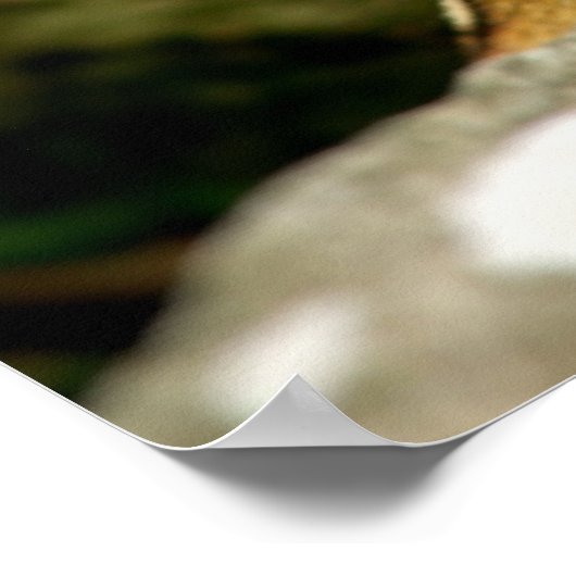 かわいいチムンクと大口のおもてなし ポスター (角)