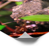 かわいいチムンクの野生動物 ポスター (角)