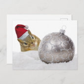 かわいいチムンクシルバーと雪のクリスマスホリデー シーズンポストカード (正面/裏面)