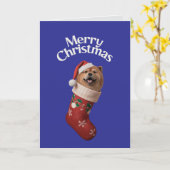 かわいいチャウチャウ犬のクリスマス カード (黄色い花)