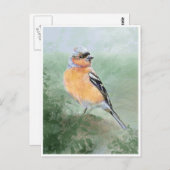 かわいいチャフインチ水彩鳥集め ポストカード (正面/裏面)
